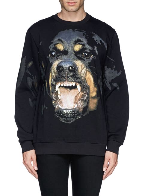 givenchy hoodie rottweiler|givenchy rottweiler graphic shirt.